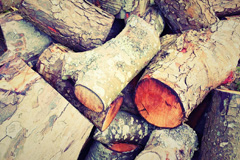 Shute wood burning boiler costs